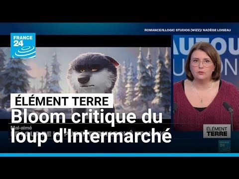 Le loup et l'ONG... Pourquoi Bloom critique la pub de Noël d'Intermarché ? • FRANCE 24