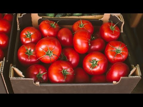 How rising tomato prices will impact your wallet, local businesses