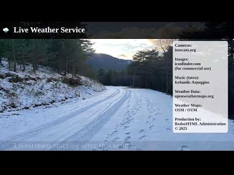 International live cameras and weather 🔴 LIVE Weather Service