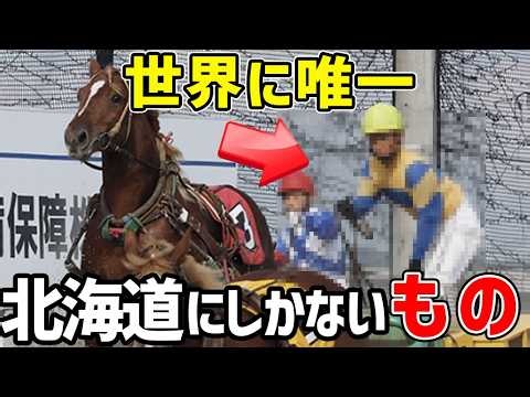 【衝撃】なぜ北海道にしかないのか？世界で北海道唯一の場所7選【ゆっくり解説】
