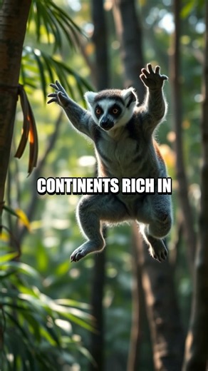 Madagascar Mysteries Unveiled: A Natural Island Encyclopedia