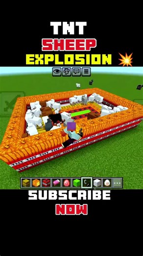 TNT 💥 Sheep explosion 🖤 #minecraftshorts #viralshorts