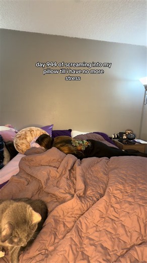 Screaming into My Pillow for Stress Relief — Day 944