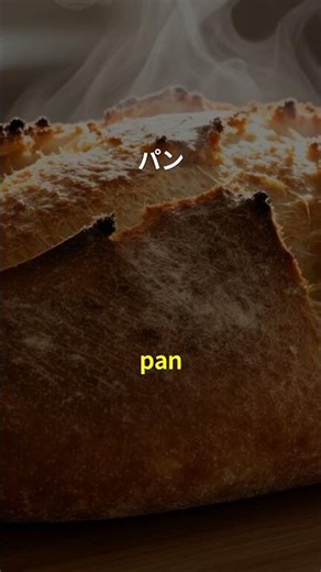 スペイン語のレベルA1名詞100 | 聞き流し | Spanish | 実用例文付き