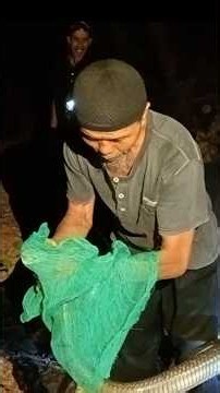 how to put a large king cobra in a sack #kingcobra