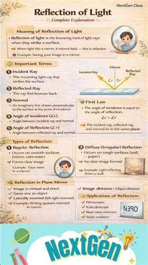 Reflection of Light Explained | Laws of Reflection | Science Concept Made Easy