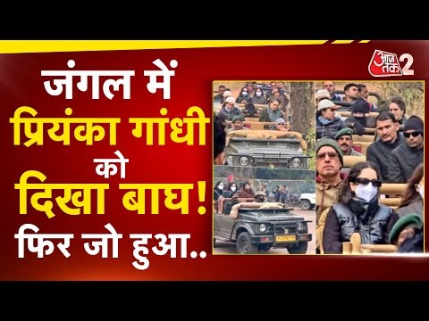 AAJTAK 2 | परिवार के साथ RANTHAMBHORE NATIONAL PARK पहुंची PRIYANKA GANDHI, देखा जंगल में बाघ! | AT2
