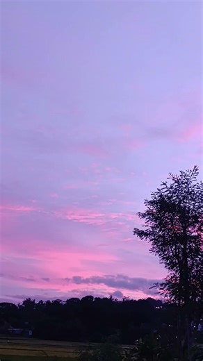 natural atmosphere in Sundanese land #fyp #fypシ #fypage #nature #foryou #foryoupage