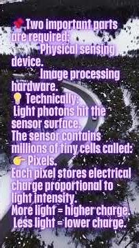 What are Image Sensors CCD vs CMOS Basics Explained