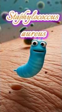 Staphylococcus aureus: The Golden Bacterium Behind Many Infections #microbiology #animation #science