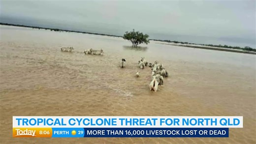 More rain is expected to hit North Queensland, amid concerns that a cyclone could also develop. #9News | 9 News