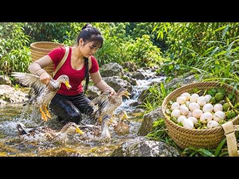 Harvesting Wild Ducks & Finding Eggs Hidden by Stream | Timelapse
