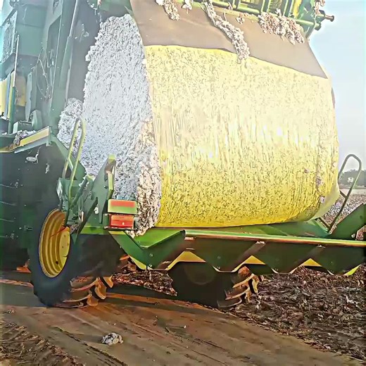 Interesting Daily Facts