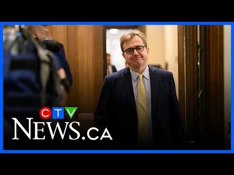 Wilkinson’s new role could be ‘tipping the balance’ in Parliament, political analyst says