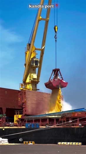 World’s Largest Cargo Ship Unloading Process: 100,000 Tons Grain Carrier Explained | #CargoShip