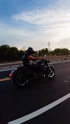 Harley Nightster Special vs Fat Boy S 🔥 Which Would You Ride? #shorts #harleydavidson