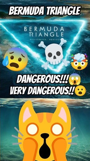 The Bermuda Triangle ☠️ Mystery Explained 🤯 | Why Do Ships and Planes Disappear? #bermudahistory