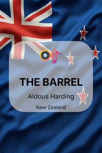 Aldous Harding - The Barrel