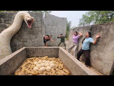 Brave Expert Rescues Younger Sister from Giant White Python
