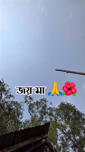 তোমার আশীর্বাদে আমাদের মনস্কামনা গুলো পূর্ণ করে দিও জয় মা🙏🌺#joymaakali #shorts #mondir