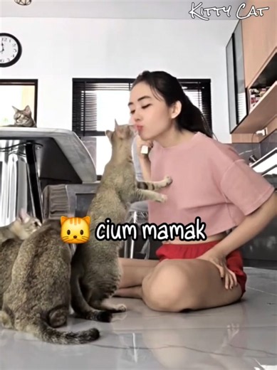 Kucing Ini Harus Nyium Mamaknya Dulu Untuk Dapat Camilan 🐱 #kucing #kucingoyen #kucinglucu