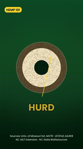 One Hemp Stalk, Two Materials: Bast Fiber vs Hurd #Shorts
