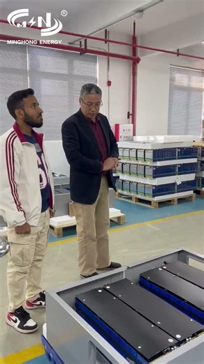 MSN Battery specialists greeted the clients and explained the energy storage batteries to them