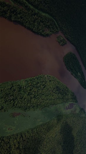 The Congo basin… | the congo