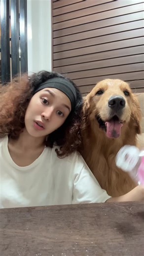 Golden Retriever Adventures with Trexy and Friends