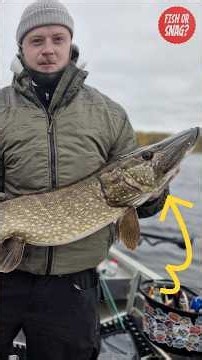 Catch and release please pt.9 - Fiskar gädda #fishing #pike #pikefishing