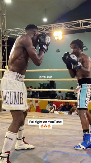 Edwin Pelf full fight highlights – watch the complete boxing match