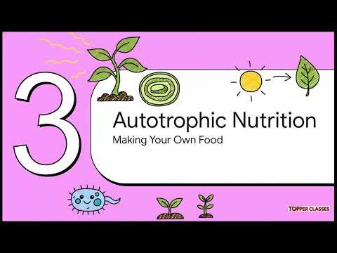 NCERT | Science| Class 10 | Chapter 5| Life process | Part 1 | CBSE | ICSE