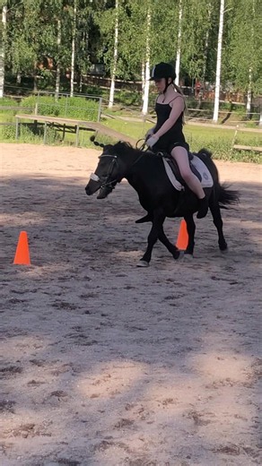 menin myös usvelilla vähä aikaa 💞🫰🏻 #horse #pony #koivuniementalli