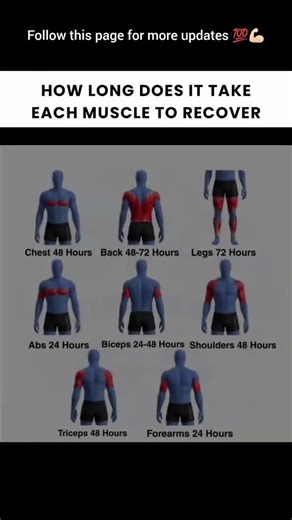 The REAL recovery time for every muscle ⏳🧬