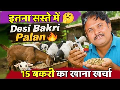 देसी बकरी पालन का Practical Formula 🐐 | Bastar Farmer Experience | Low Cost Goat Farming