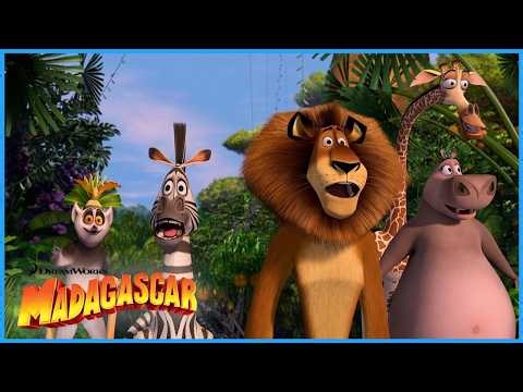 Destination: Madagascar!🌴🌅 | DreamWorks Madagascar