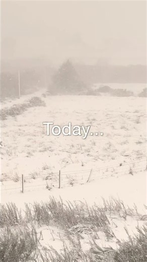 Before and After the Highland Snowfall ☃️ #snow #scotland #highland