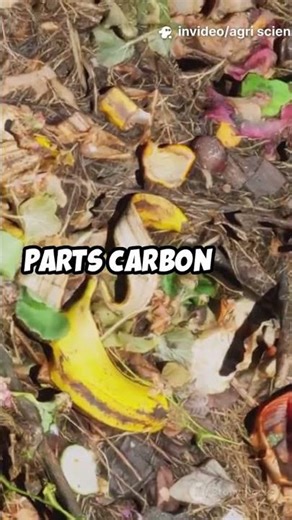 Impact of CN Ratio and Temp on Anti-Resistant E. coli During Anaerobic Digestion of Chicken Manure