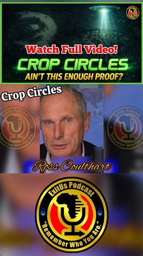 Ross Coulthart on crop circles: “Just Google it” #cropcircles #alienmessage #extraterrestrial