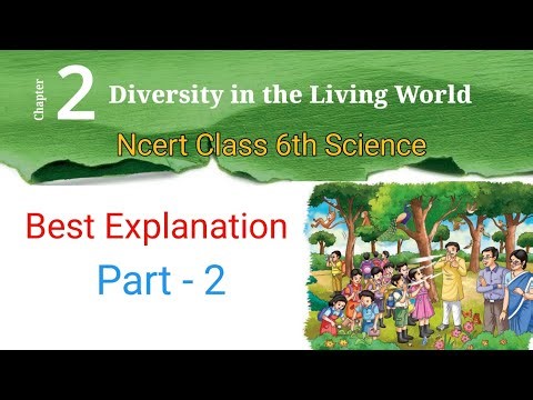 NCERT Class 6 Chapter 2 Science | Easy Explanation for Beginners
