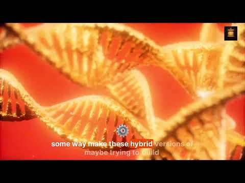 Are missing persons actually being taken for alien hybridization experiments?