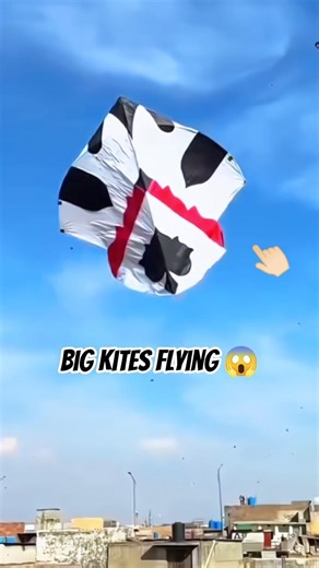 Big Kites Flying 😱🔥 #kiteflying #kiteground #viralvideo #kite #shorts