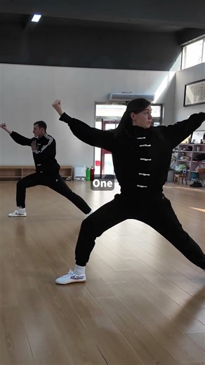 Baji Quan Power Explosion #kungfu #martialarts #bajiquan #wushufight #discipline #chinesekungfu
