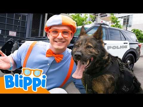 What Do Police Dogs Do? 🐕‍🦺🚓