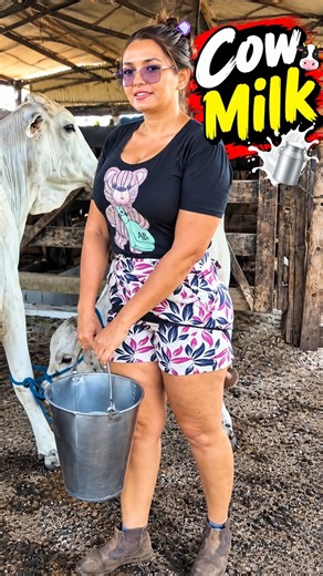 Modern Dairy Farm 🐄🌾 | Dairy Cow Milking & Fresh Milk Production | Maria Vlogs #cowfarm #cowgirl