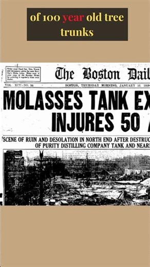 Boston’s Deadly Paradox: The City Resting on a Rotting Forest #shorts