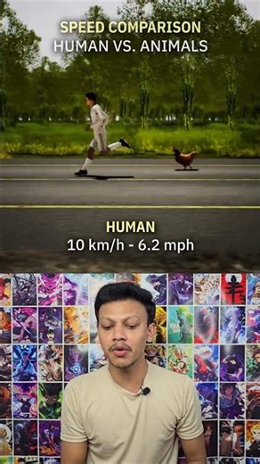 Human vs Animal Speed Comparison 🏃🐆