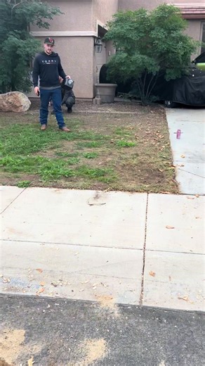 Quick and Easy Artificial Turf Install