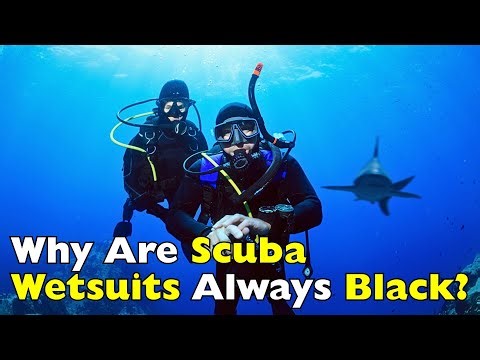 Why Black? The Hidden Science Behind Scuba Wetsuits