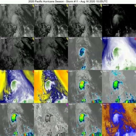 2020 Pacific Hurricane Season Timelapse: Tracked Storm #11